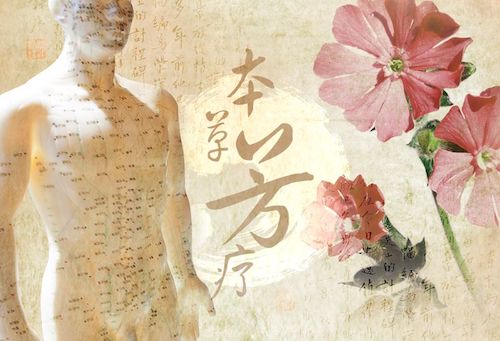 ys2